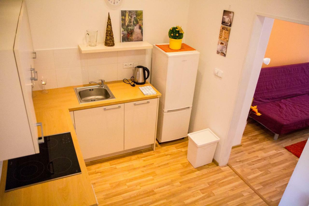 Lidicka Apartment Prague Exterior photo